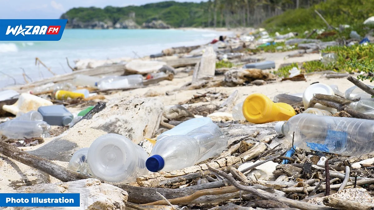 Environnement : les pollueurs des plages dans le viseur de la police ce week-end