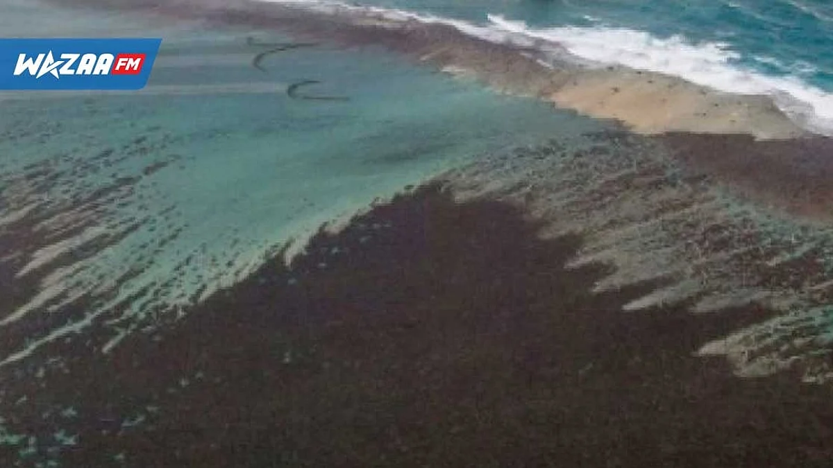 Marée noire : vers la consolidation du National Oil Spill Contingency Plan 2021