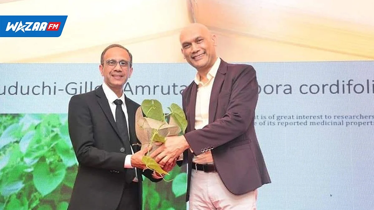 Ayurveda Day : un jardin ayurvédique voit le jour à Belvédère