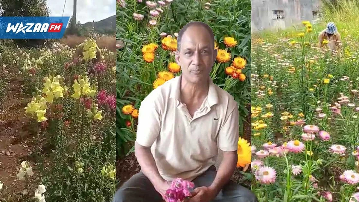 Fête des morts : les fleurs en signe de reconnaissance et d’amour pour les défunts