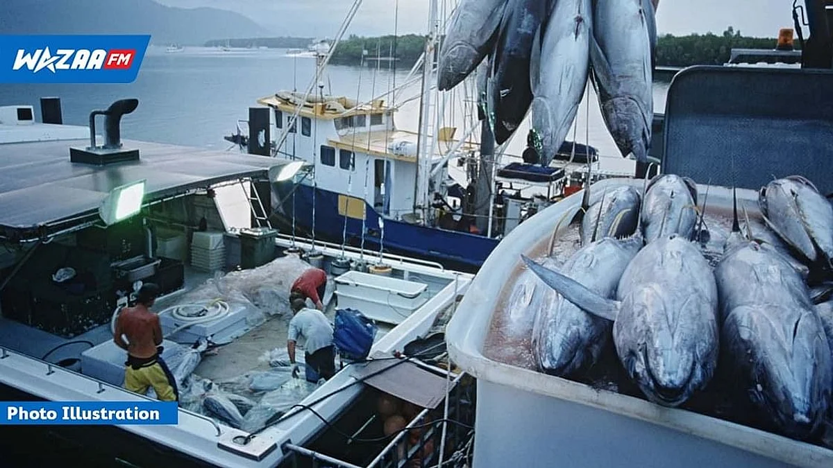 Vers la promulgation des Fisheries and Marine Resources (Exploratory Licence) Regulations 2022