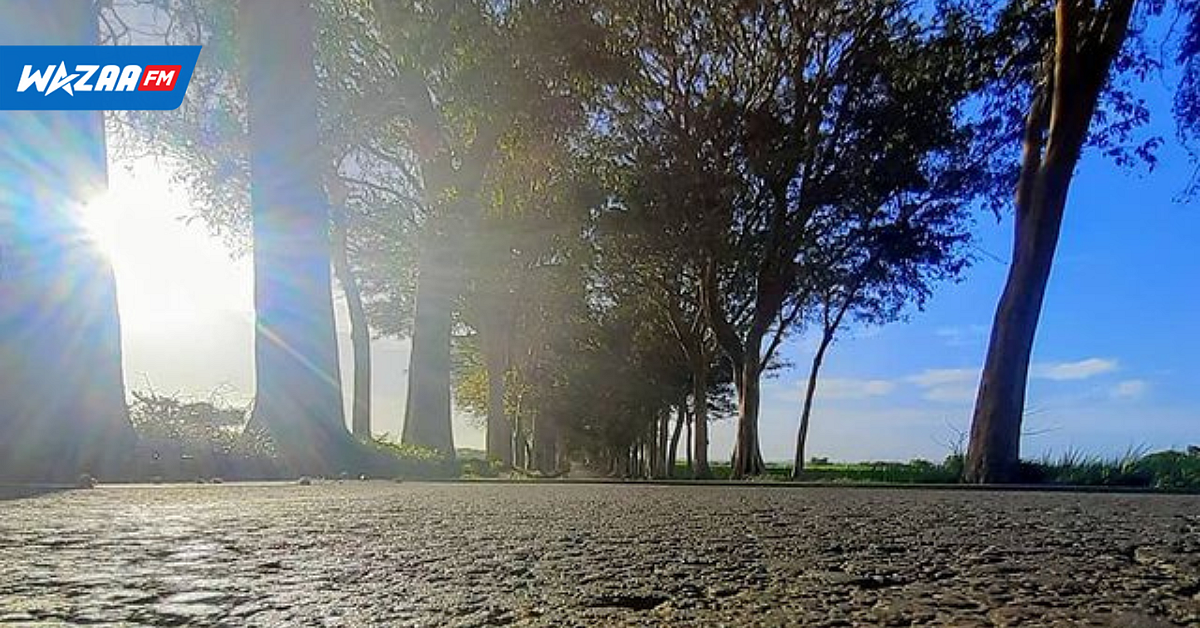 MÉTÉO : Quelques nuages associés à la faible ligne d'instabilité continuent à influencer le temps local ce matin