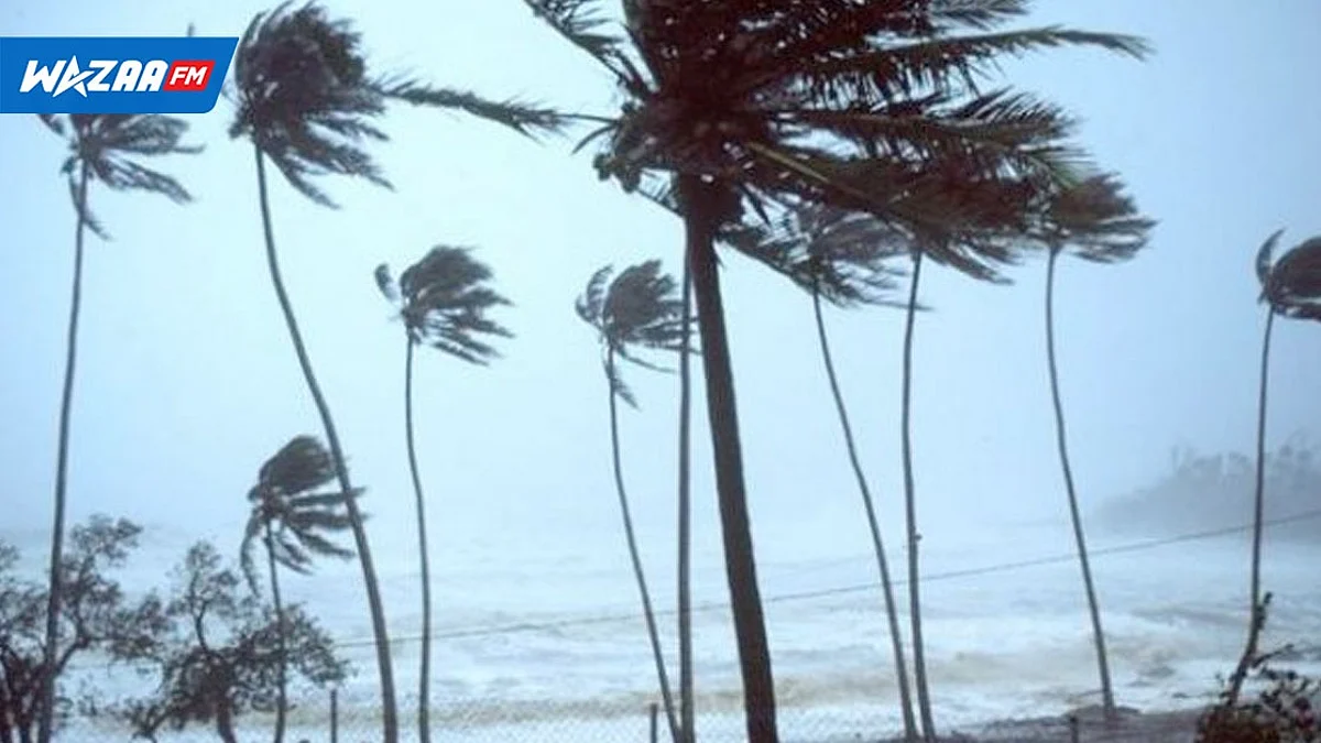 Saison cyclonique : entre 9 et 11 cyclones attendus pour la période 2022-2023