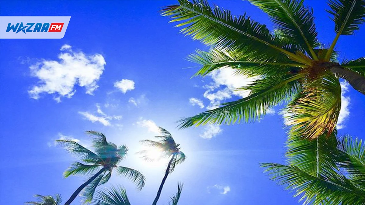 MÉTÉO : un beau temps sur l'ensemble de l'île pour ce vendredi