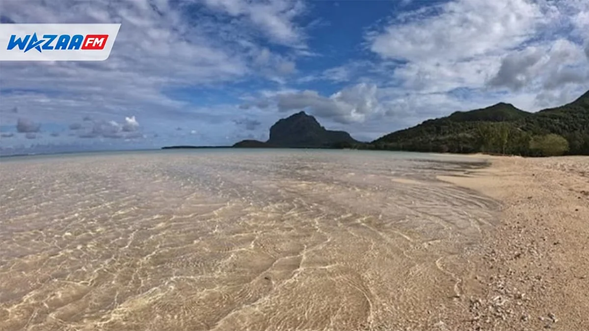 MÉTÉO : un temps ensoleillé à l'horizon, sauf pour quelques ondées passagères