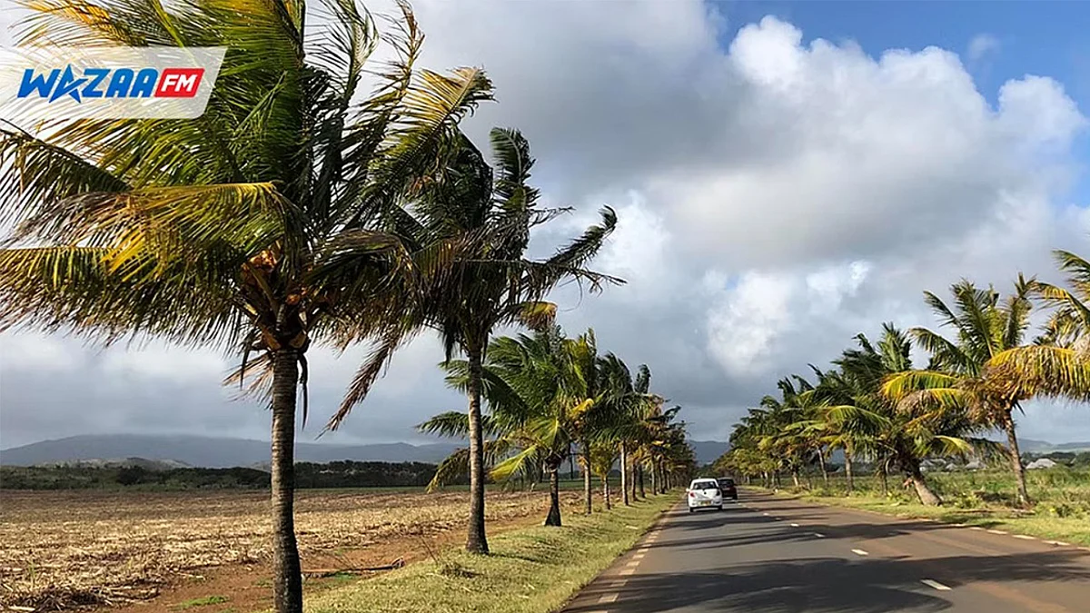 MÉTÉO : un vendredi essentiellement beau à l'horizon