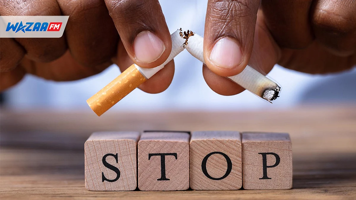 Lutte anti-tabac : Maurice accueillera l’atelier de formation international