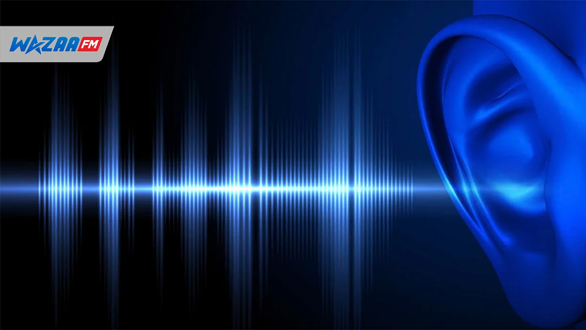 Noise Regulations : Une fixed penalty de Rs10,000 en cas de récidive pour pollution sonore