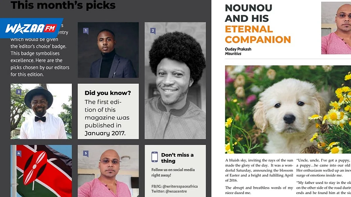 Writers Space Africa : un 'short-story' mauricien devient le choix éditorial d’un magazine international