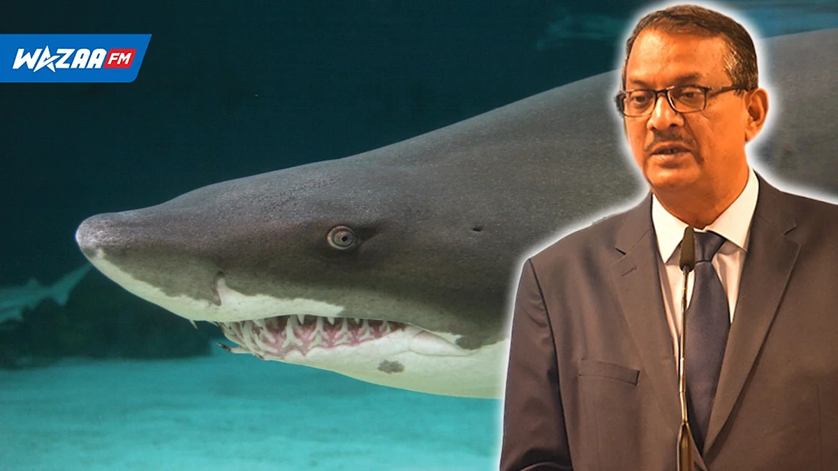 Sudheer Maudhoo : « la mer ce lakaz requin »