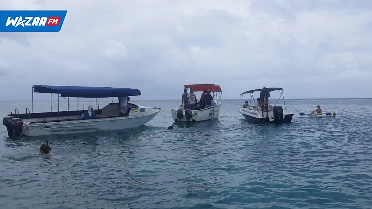 Tortues de mer - Trou-aux-Biches: ces “speed boats” circulant à grande vitesse dénoncés