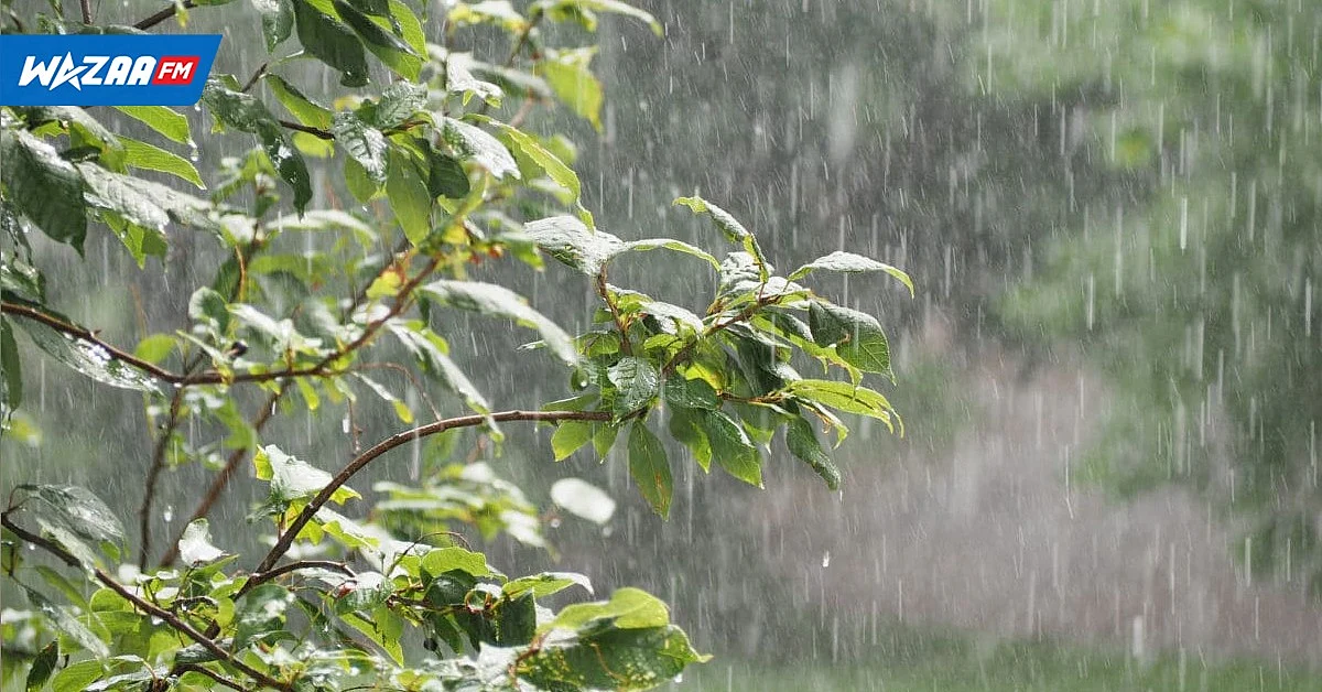Météo : le système d’alerte pour la pluie