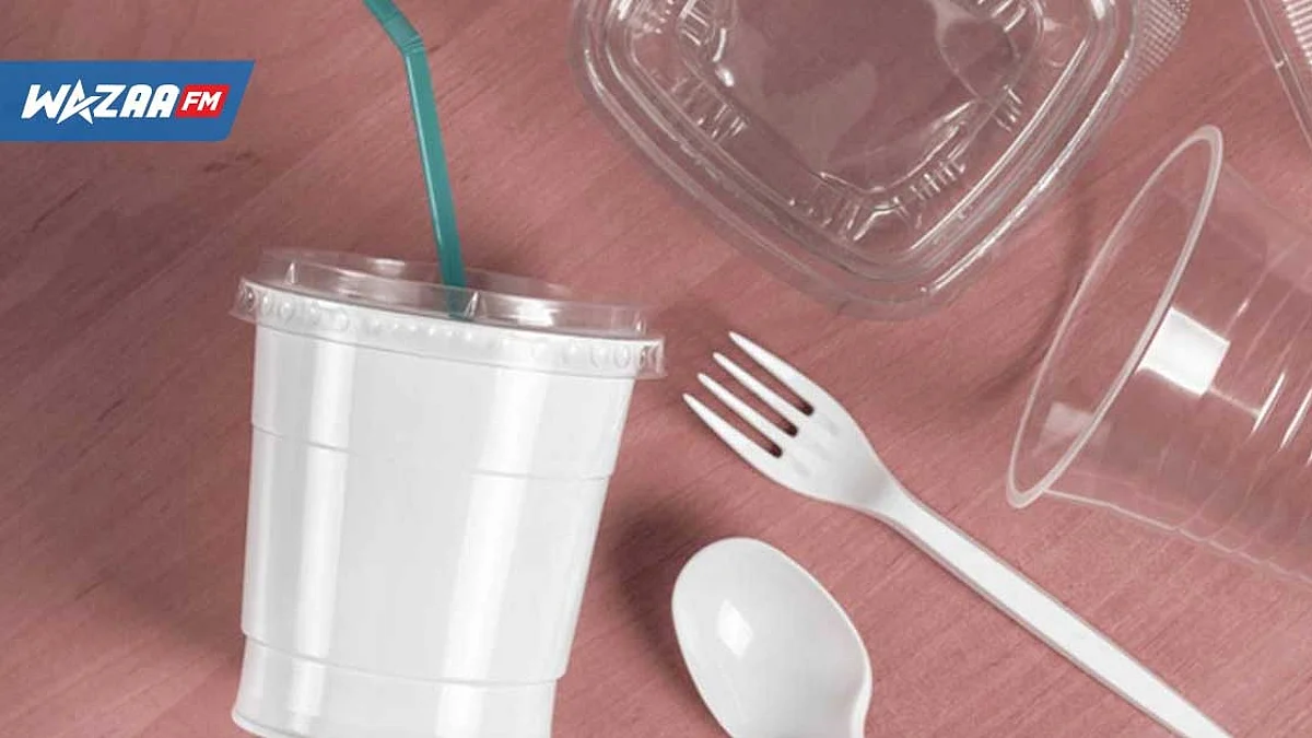 Plastique : le moratoire pour l'interdiction des produits uniques non biodégradables étendu à janvier 2025