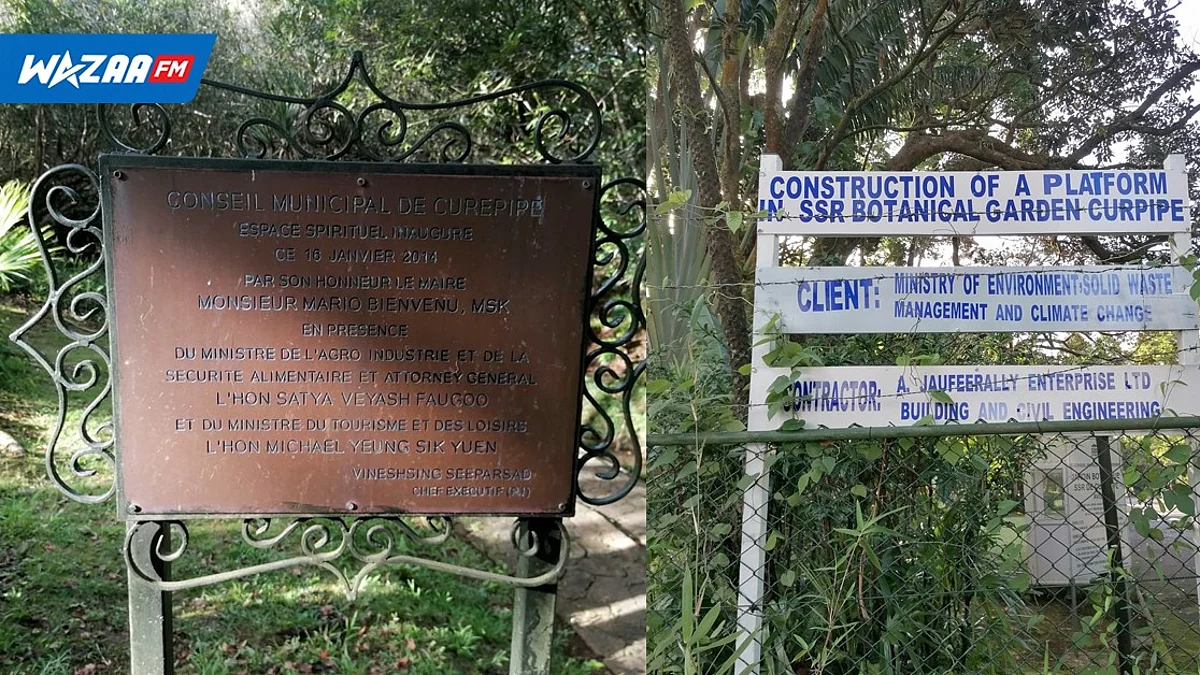 Polémique : précisions au sujet des travaux au jardin botanique à Curepipe