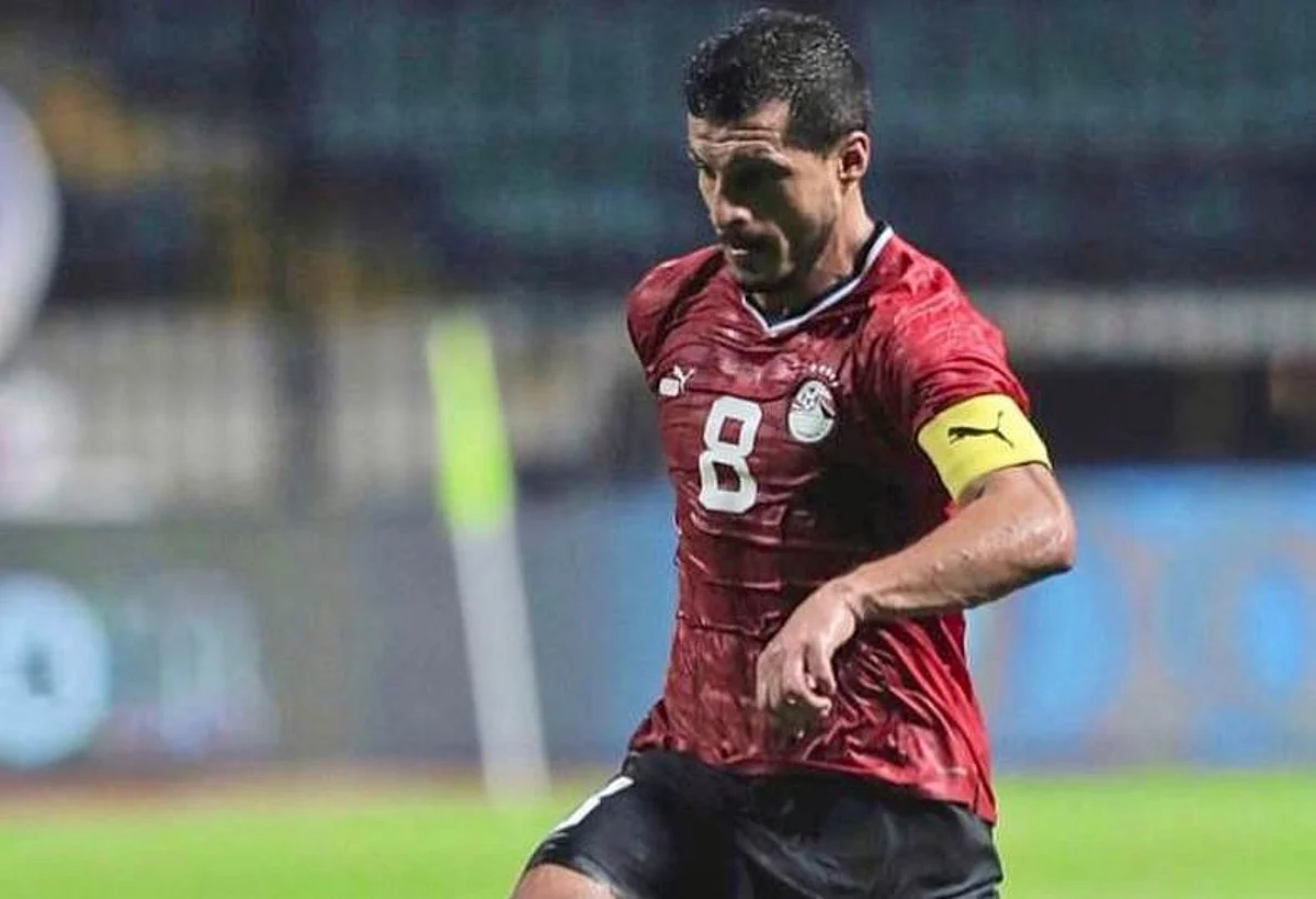 طارق حامد