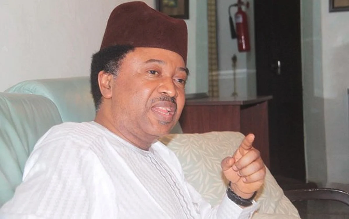 Comparing Igboho’s ordeal to Prophet Muhammed provocative, disgusting – Shehu Sani condemns Afenifere