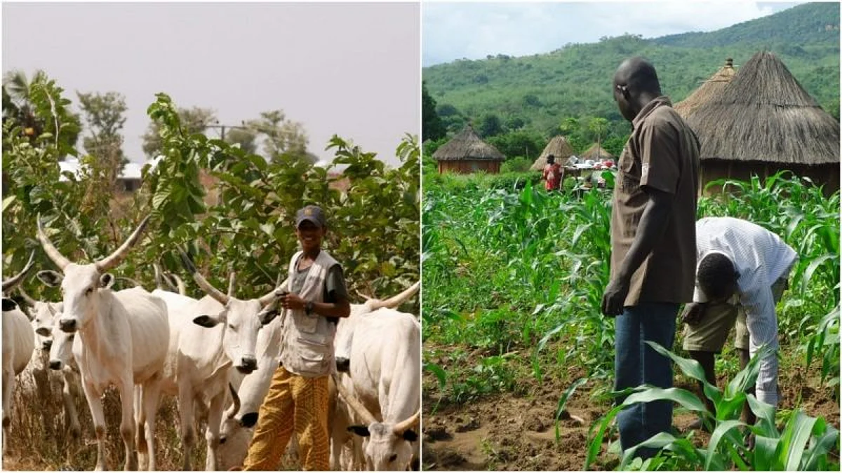 Grazing routes recovery has come to stay – FG