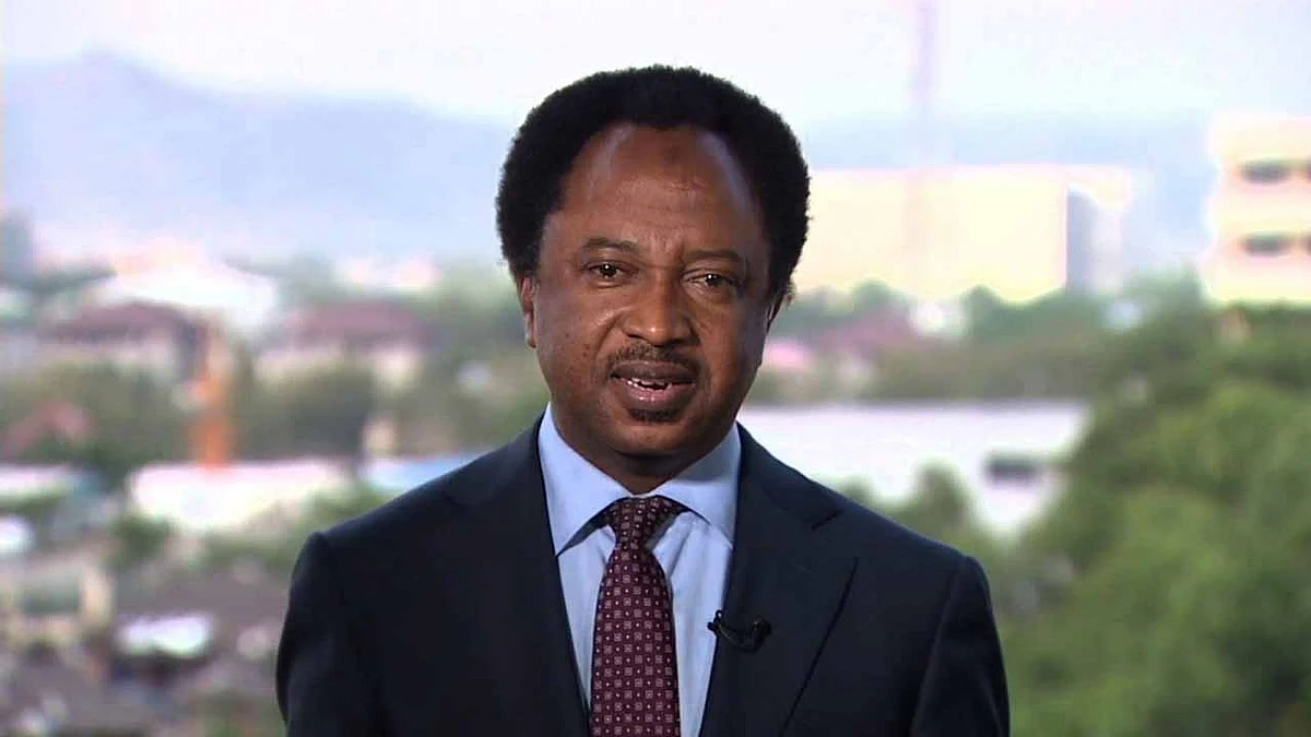 2023: Governorship seat for serious minds, not 'Idle bloggers,' APC tackles Shehu Sani