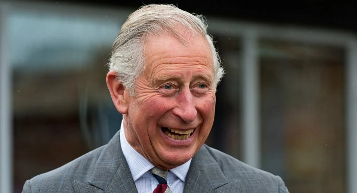 Prince Charles meets doctors treating children in Maiduguri