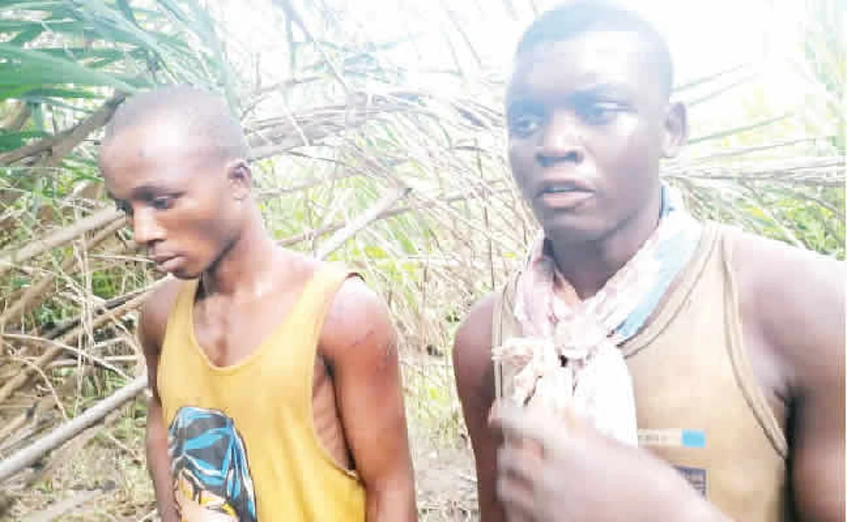 Six corpses discovered as kidnappers arrested in Osun, lead police to shallow graves in Benue