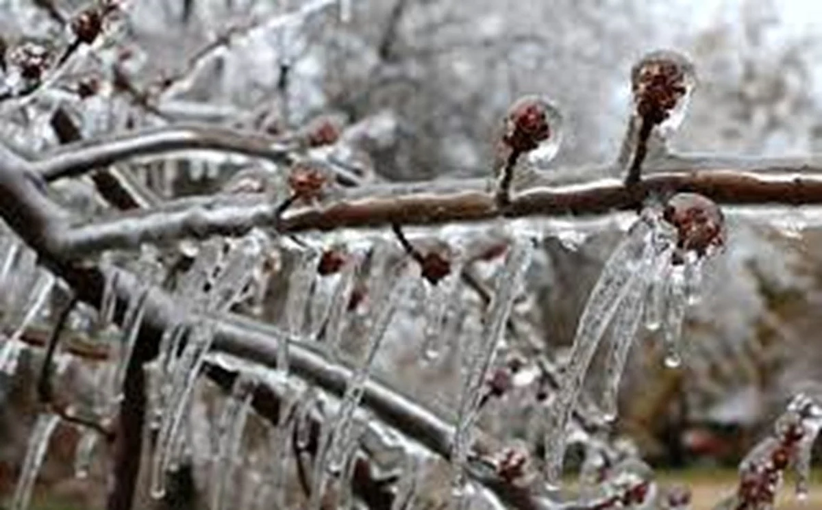 Cold weather in China kills 21 in ultra-marathon, sparks outrage