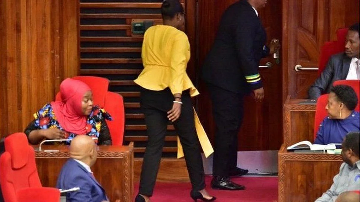 Tanzanian female parliamentarians demand apology over controversial ‘trouser’ incident