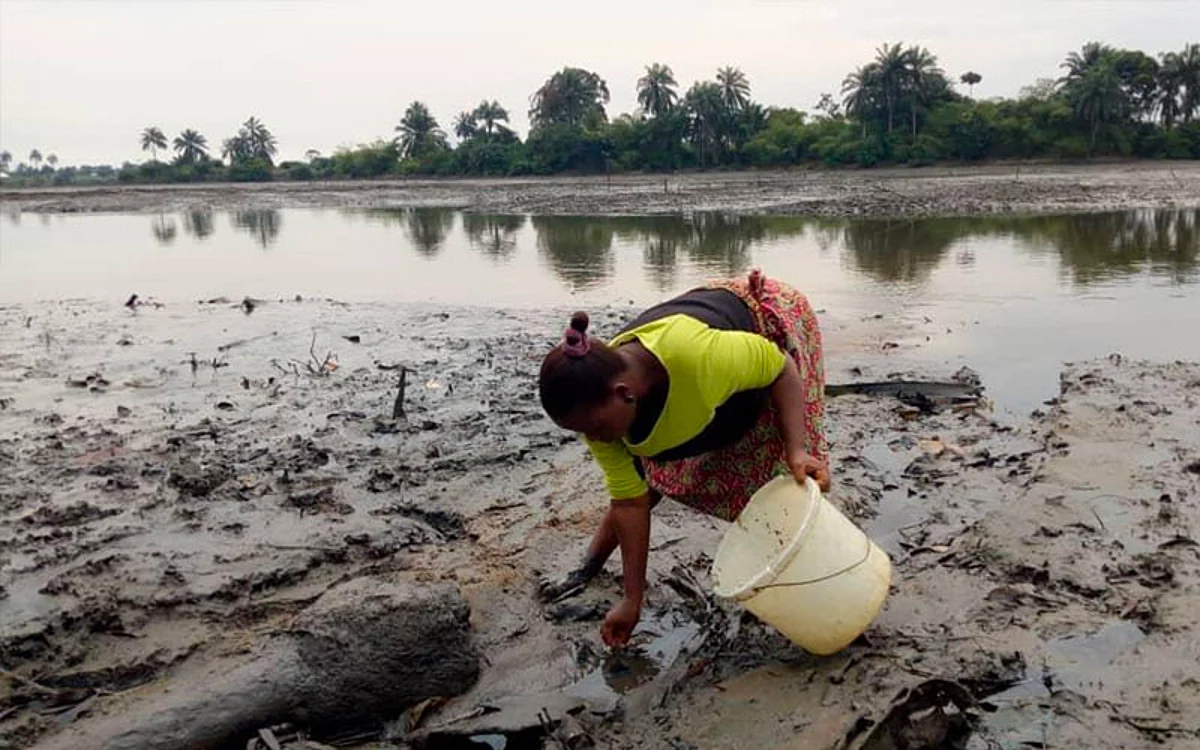 Oil spill: Bayelsa women demand inclusion in compensation benefits