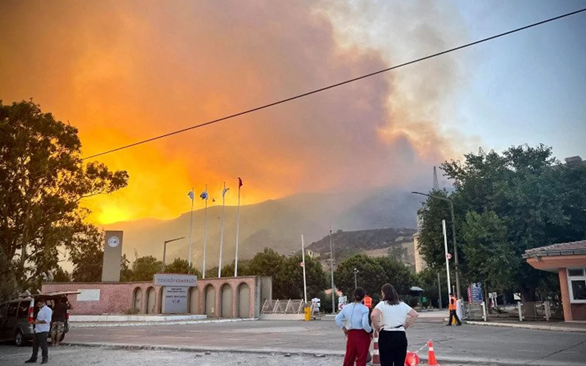 Hundreds evacuated by sea as wildfire reaches Turkish power plant