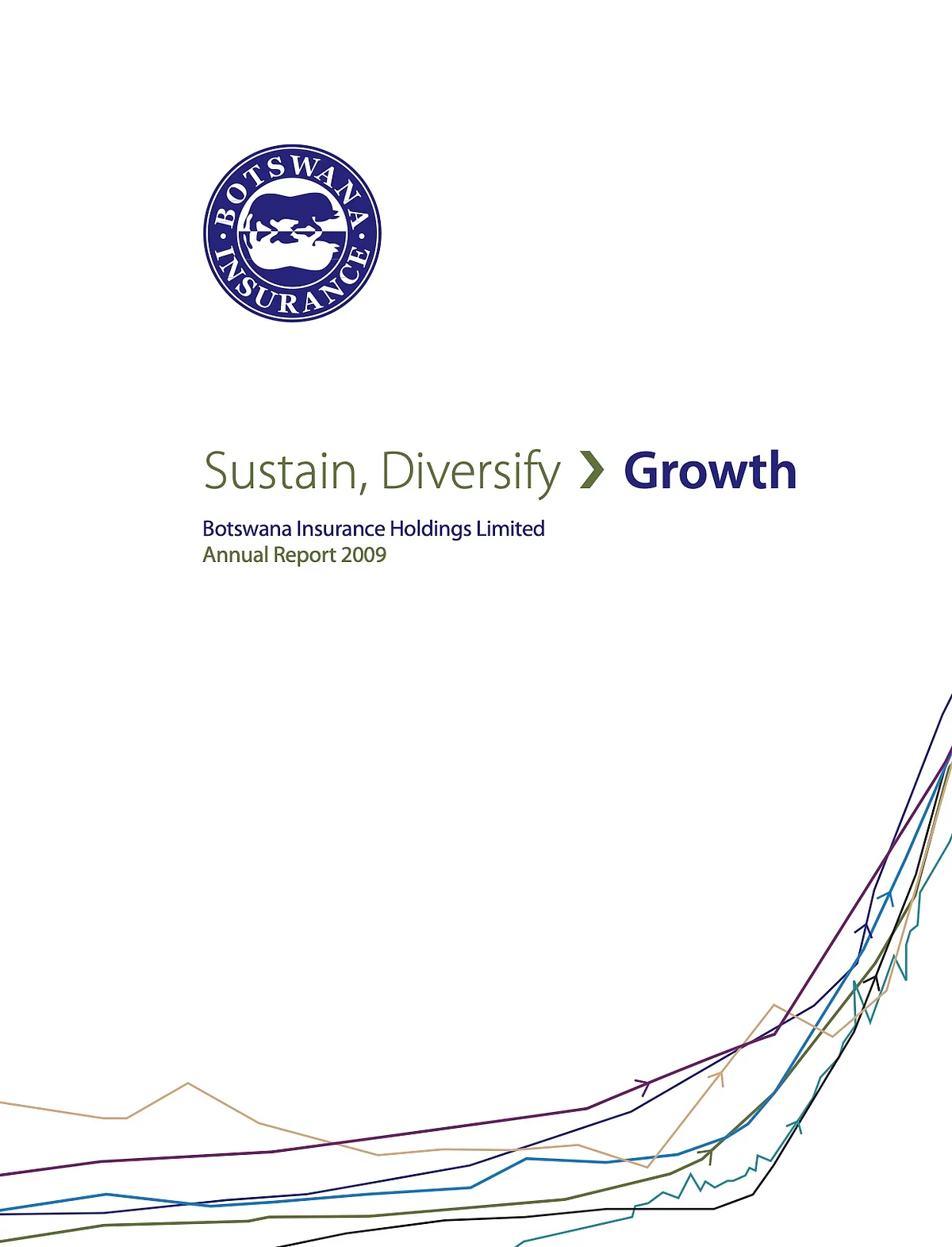 The BIHL Group Annual Report 2009