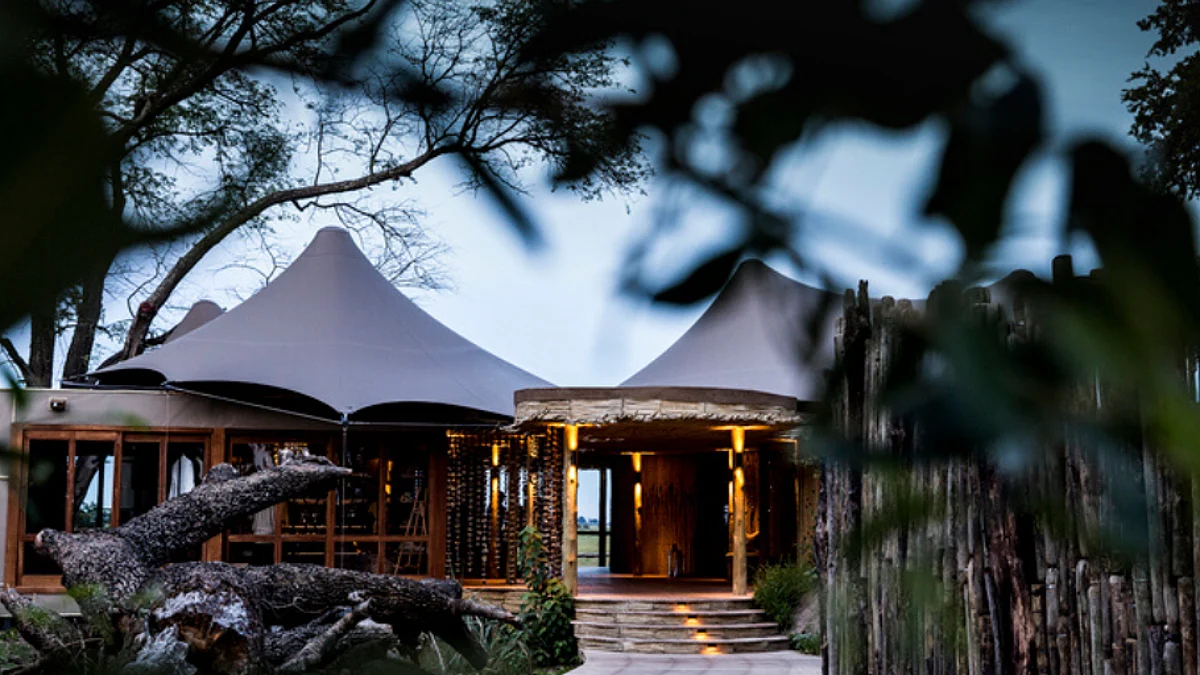 Mombo Camp