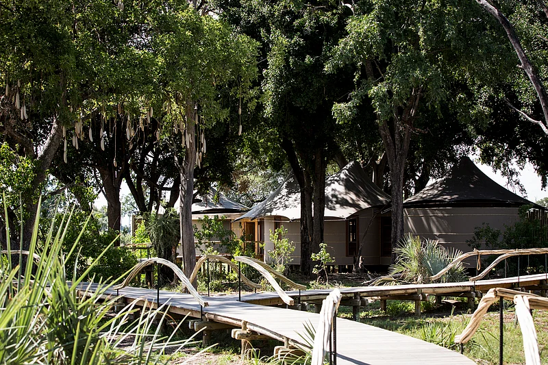 Walkway to tents