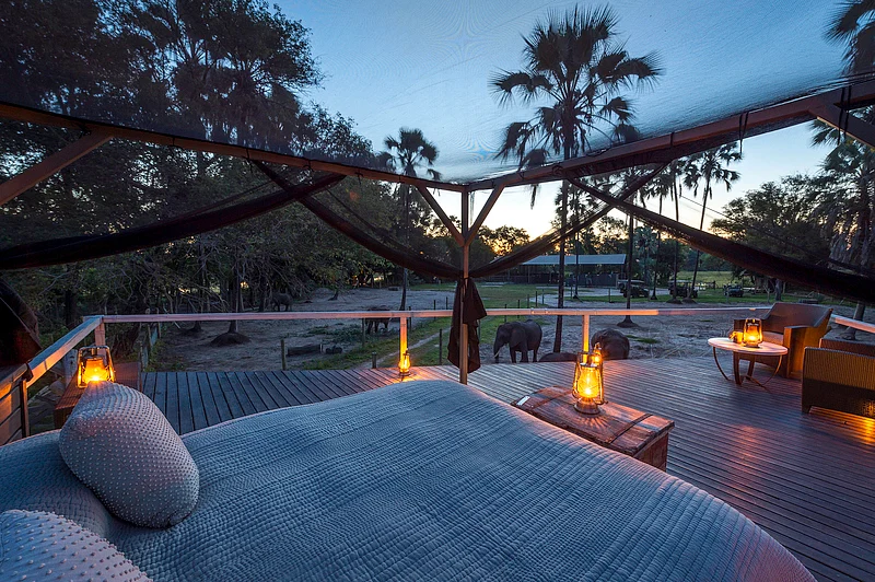 Elephant boma star bed
