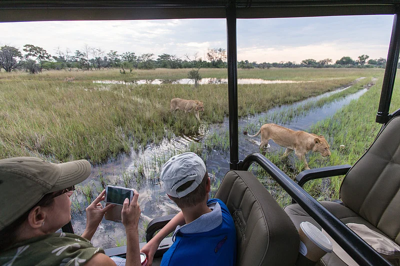 Family game drive