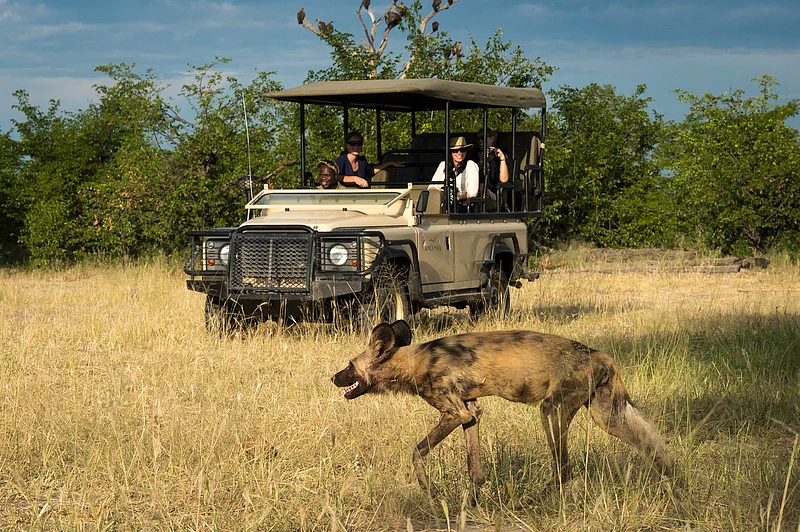 Game drive