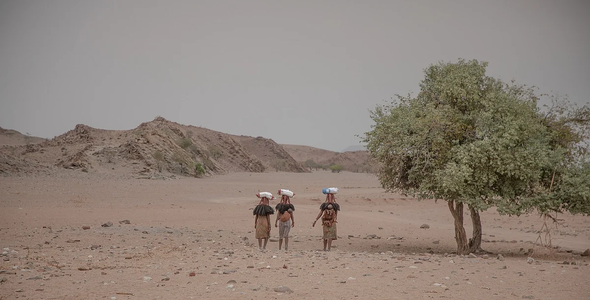 Wilderness Safaris' COVID-Relief Drive In Namibia