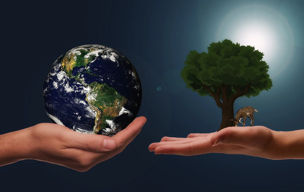 "Sustainability began life in environmental circles twenty or more years ago, quickly becoming a word or phrase that, similar to 'climate change action', was easy to say and difficult to achieve."