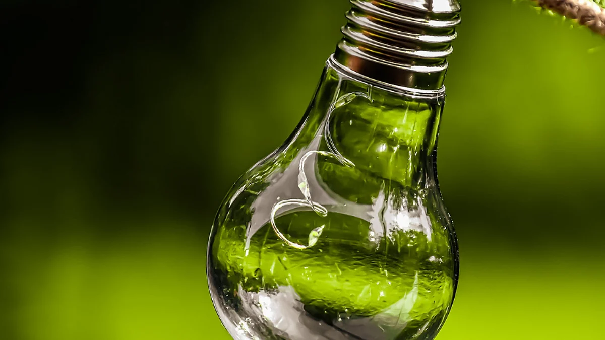 Sustainability is a Privilege and a Right