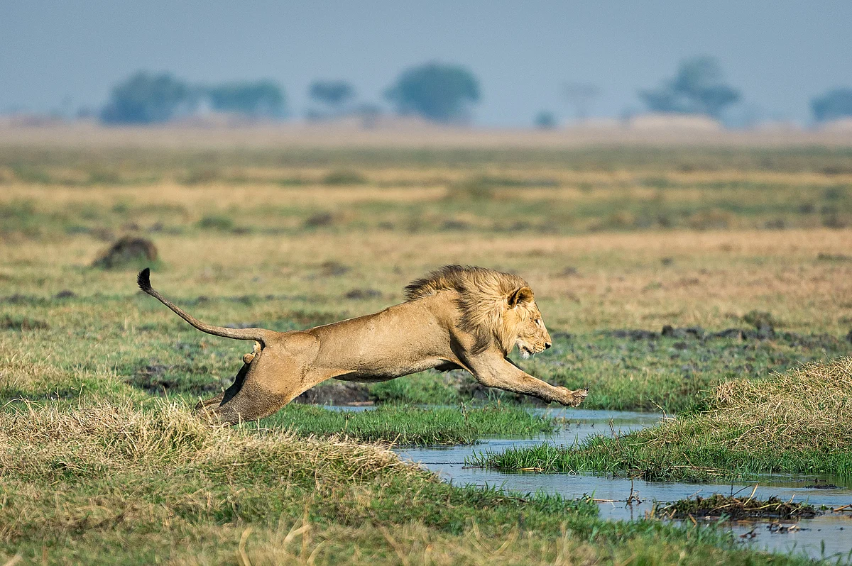 Kafue