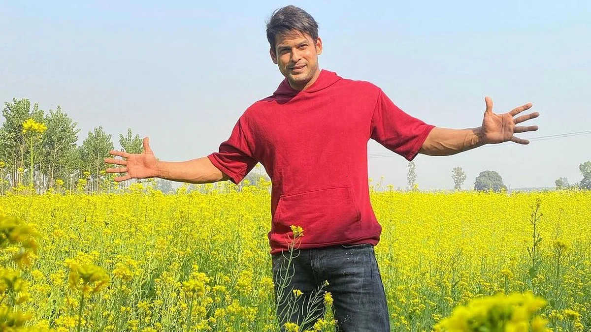 पंजाब पहुंच शाहरुख खान बने सिद्धार्थ शुक्ला, सरसों के खेत में दिया किंग खान स्टाइल में पोज