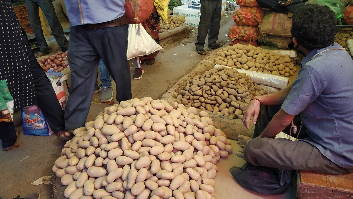 जानिए, क्यों पैदा हुआ देश में आलू की आूपर्ति का संकट, आसमान चढ़े दाम