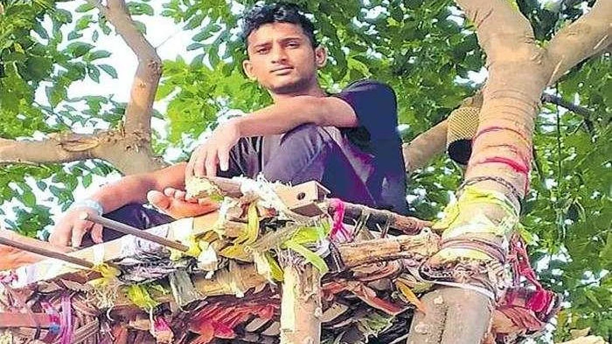 कोविड पॉजिटिव तेलंगाना के एक युवा ने 11 दिन पेड़ पर बिताए