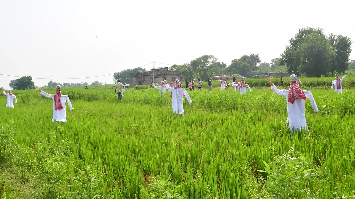 कृषि क्षेत्र में सहयोग के लिए भारत और इजरायल ने मिलाया हाथ