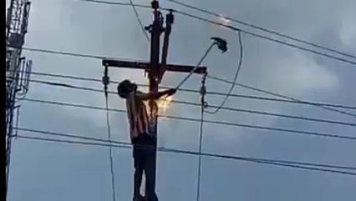 गुजरात में कबूतर को बचाने के प्रयास में व्यक्ति की करंट लगने से मौत