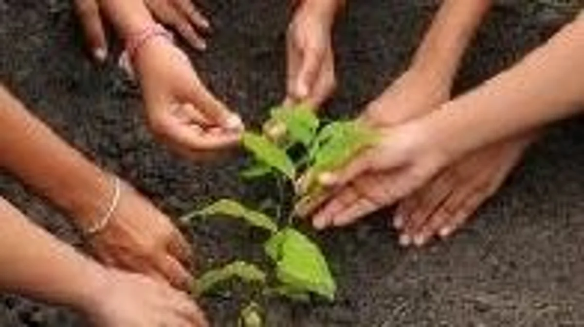 प्रयागराज में बनेगा 'सांस्कृतिक वन'