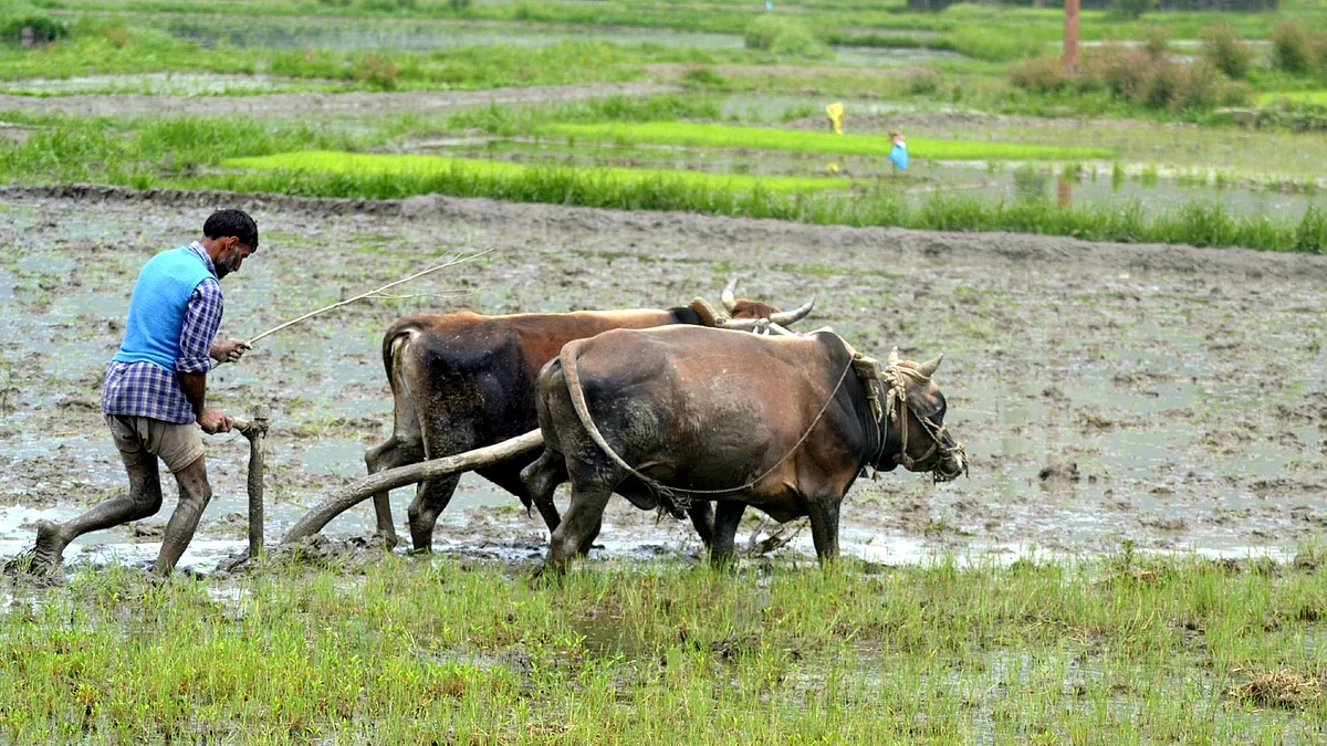 उत्तर प्रदेश में सिंचाई का बढ़ेगा रकबा और किसानों की कमाई भी