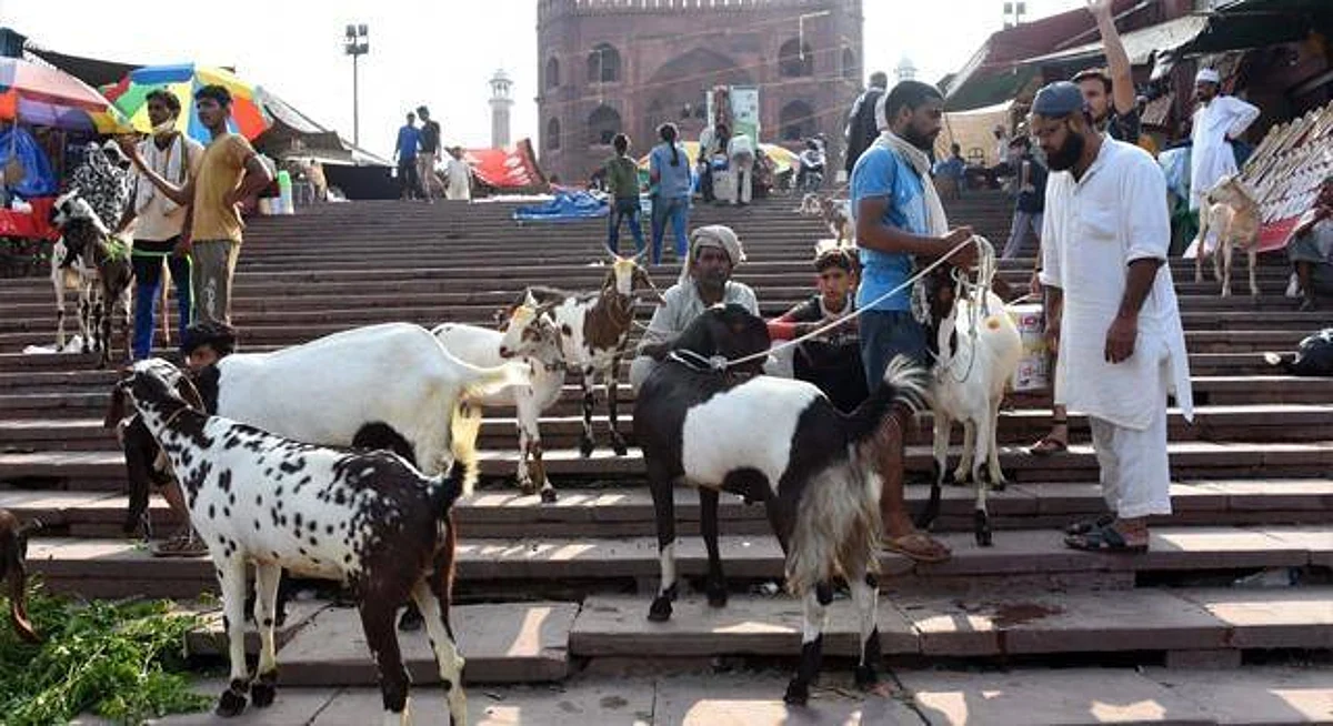 कोविड: बकरीद के चलते सड़कों पर ग्राहक ढूंढते दिखे बिक्रेता, 3 लाख रुपये का बकरा सिर्फ डेढ़ लाख में उपलब्ध