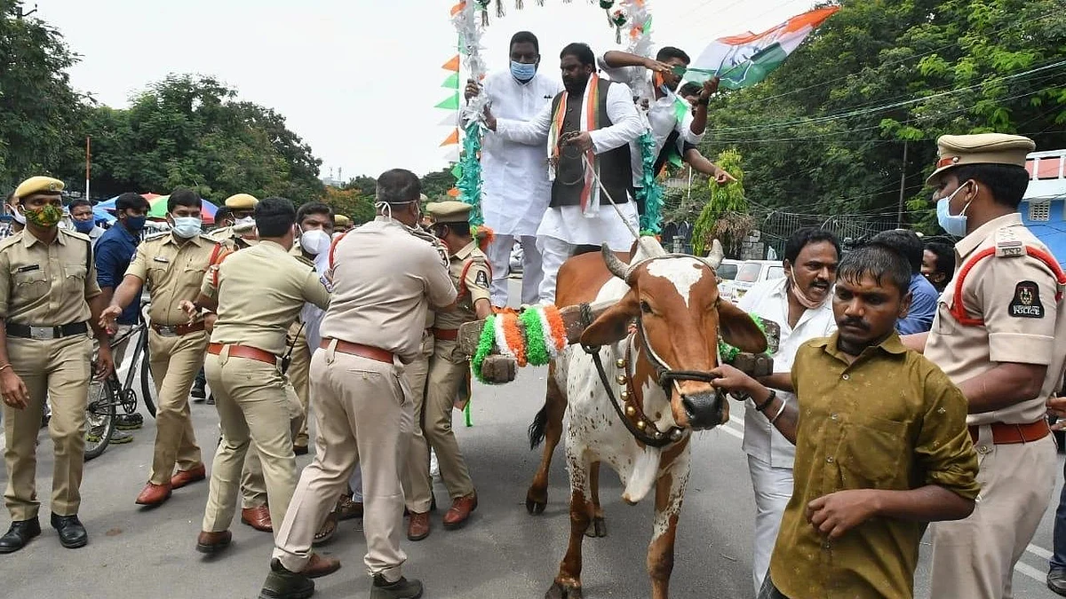 तेलंगाना कांग्रेस नेता विरोध के दौरान बैलगाड़ी से नीचे गिरे