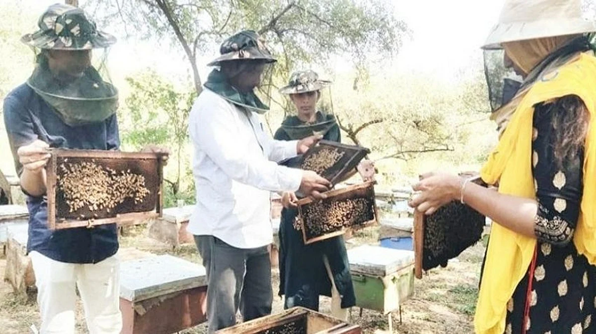 उद्यान एवं खाद्य प्रसंस्करण विभाग मधुमक्खी पालन हेतु इच्छुक किसानों के लिये आयोजित करेगा 90 दिवसीय प्रशिक्षण कार्यक्रम