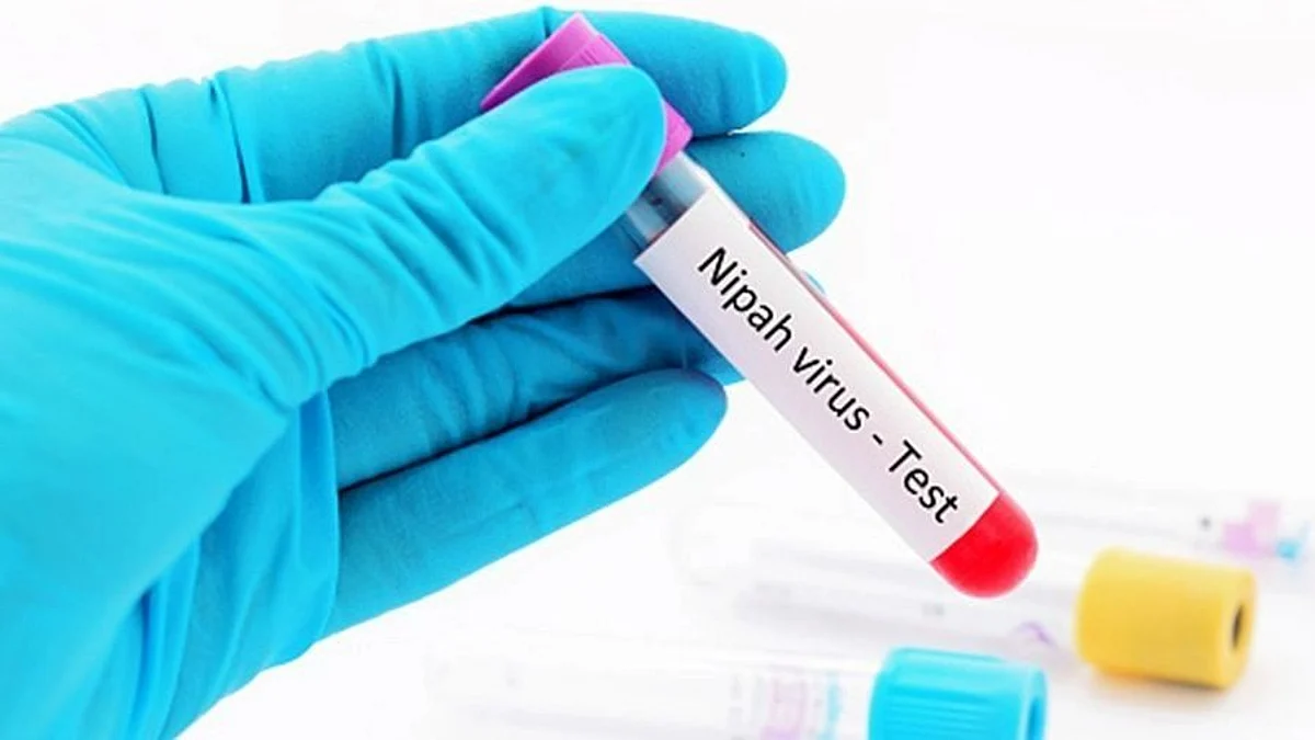 निपाह जांच के लिए भेजे गए सैंपल निगेटिव आए, केरल ने ली राहतभरी सांस
