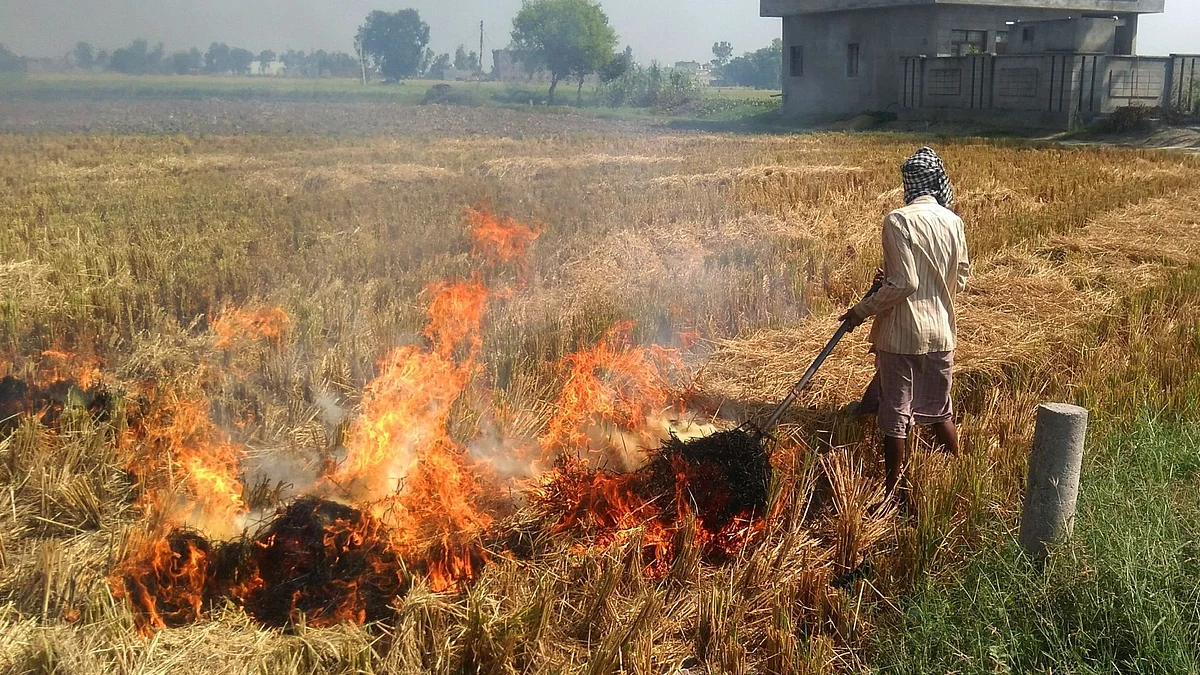 पराली जलाना: इलेक्ट्रिक वाहनों के लिए हाइड्रोजन पैदा कर सकते हैं किसान
